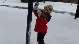 Snowblower Blast