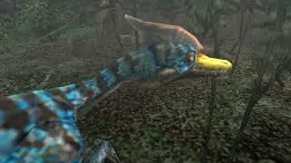 MHFreedom: 1* Village Quest 
