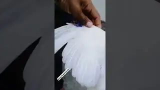 paper White Aseel#heeraaseel #beautifulaseel #paperwhite #quality #shoq