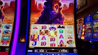 Buffaloes ran out of STEAM after Dash for Cash bonuses! @hardrocktampa