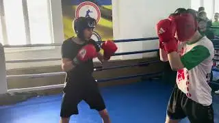 Вікарій Марк - Ликов Артем спаринг Звягель 2026 юніори 54 кг