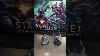 Warhammer 40K Terminator captain and the Tyranid Prime.