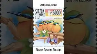 6000 LE Stamp_Little Bee eater_Sierra Leonean Stamp 2015 #stamps #beeeater #2015 #sierraleone