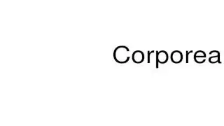 How to pronounce Corporealism