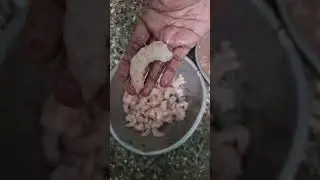 Shadur Kitchen is live Streamed shrimp / prawn cleaning