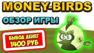 Экономическая игра Money-Birds вывод денег, обзор, отзывы, как заработать