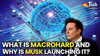 Elon Musk Launches Macrohard: What is an AI-Powered Microsoft Clone & Its Future?