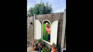 Plant Pot Theft. #nextdoor #garden #bald
