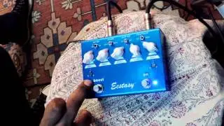 Bogner Ecstasy Blue - Prashant Aswani