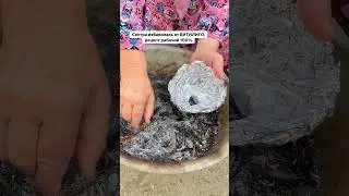 Я знаю точно, что витилиго лечится!!! ПОДПИШИСЬ НА МЕНЯ, Я РАССКАЖУ КАК