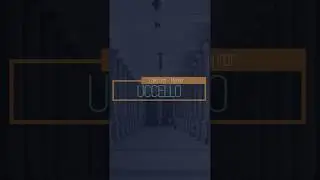 Mentor Collection | i Tappetti | UCCELLO