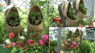 Recycle old slippers into a flower pot for your balcony
