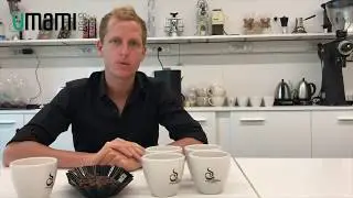 Coffee Roasting intermediate level - Coffee Diploma System SCA - Umami Roasting Camp