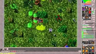 Tibia - Slime Training