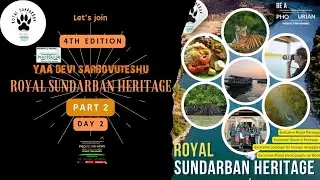 Royal Sundarban Heritage Photour - Full story - PART 2 -DAY 2 Dangerous Experience in Sundarban
