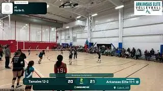 Arkansas Elite 11-1 vs. Tamales 12-2 (2026.01.31)