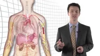 Organ Assist