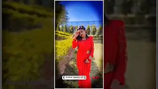 New Satish Das Camera Man Focus Kara Re Status Editing In Alight Motion |New Style Video Clip Status