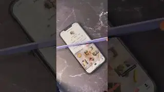The day in the life of a realistic cake artist!