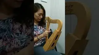 1st time play harp.😂😂😂 so funny!
