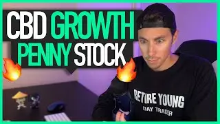 CBD Penny Stock 🔥 Big Potential in a Hot Sector
