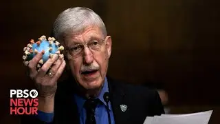 WATCH LIVE: Senate appropriations subcommittee hearing on NIH budget for 2022