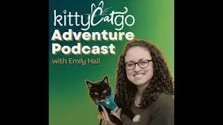 4:1 - 7 Common Cat Harness Training Mistakes (and How to Fix Them!)