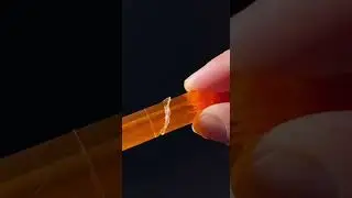 The Crystal Snap