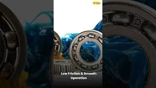 Ball Bearing Suppliers and Dealers in UAE Dubai | Fyind.com