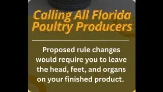Would you like your chicken with their heads, feet and internal organs? #farmlife #smallfarms #god