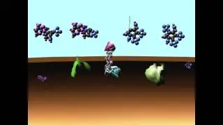 GPCR INTRODUCTION