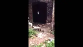 SUSTO PROCURANDO FANTASMA