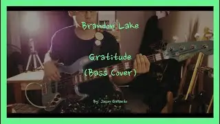 Brandon Lake - GRATITUDE (Bass Cover Special Edit)