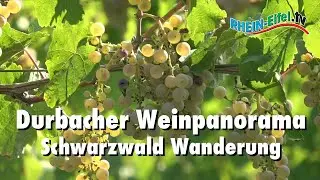 Durbacher Weinpanorama | Schwarzwald | Rhein-Eifel.TV