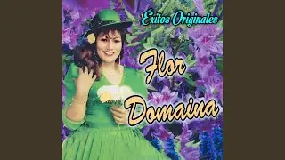 Lindo Huanuqueño