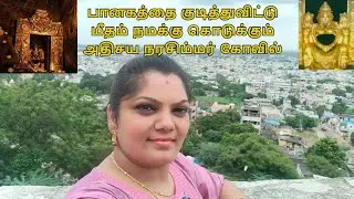 பானகம் குடிக்கும் அதிசய நரசிம்மர் கோவில்/Vijayawada Trip/Paanaga Narasimhar #templevlog #vlog #home