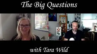 Big Questions with Tara Wild | Healing Through Connection