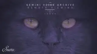 Gemini Voice Archive - Remote Viewing (Original Mix) [Suara]