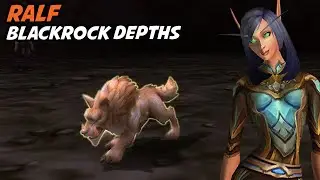 Ralf - Blackrock Depths Pet Battle Dungeon
