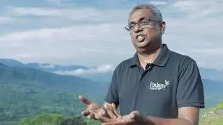Greening Your Cup: How Finlays' Landscape Approach is Creating a Better Future for Coffee and Tea