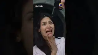 Junaid Ne Zoya Ko Mar Dala || #Chauraha || #Shorts
