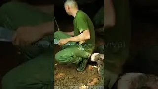 Solo Man Building  Outdoor Shelter From Rocks #shorts #survival  #survivalskils