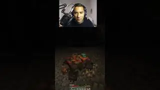 Hug a Turtle 🐢 (Vault Hunters 1.18 Minecraft) Twitch Interactive