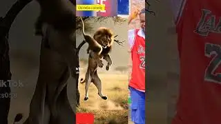watch how monkey escape lion in ambush #foryou #comedymove #comedymusic #comeonout