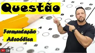 Quest&atilde;o sobre as Fermenta&ccedil;&atilde;o Alco&oacute;lica - Processos Exot&eacute;rmicos - Metabolismo Energ&eacute;tico