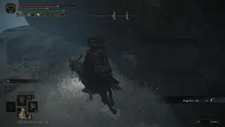 The most  embarrassing  way to die in Elden Ring