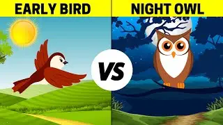 Early Birds vs Night Owls