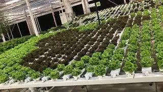 Living with the Land