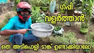 മീൻ വളർത്താൻ ഒരു അടിപൊളി ഫിഷ് ടാങ്ക്‌ ഉണ്ടാക്കിയാലോ| Fish pond making at home malayalam | pond make