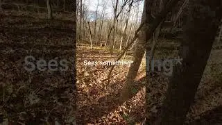 Woodland Airsoft Battle / #airsoft #airsoftguns #airsoftrifles #airsoftbattle #airsoftgame